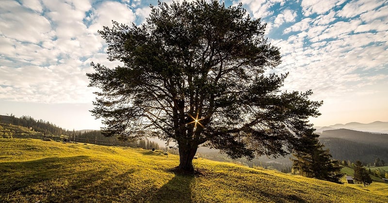 10 activités de plein air pour toute la famille, à tester sans hésiter
